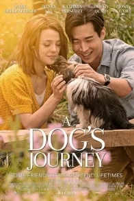 A DOG'S JOURNEY