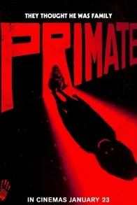 Primate